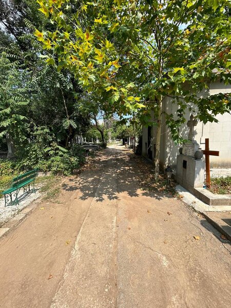 Vand loc de veci Cimitirul Bellu.