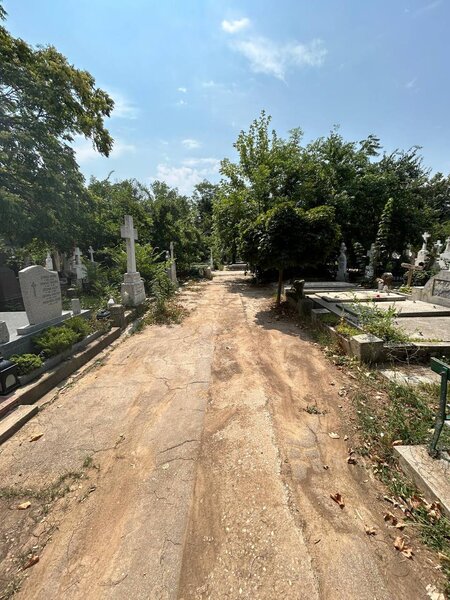 Vand loc de veci Cimitirul Bellu.