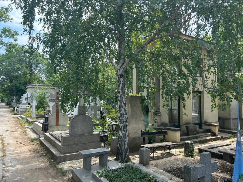 Vand loc de veci Cimitirul Bellu.