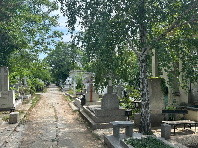 Vand loc de veci Cimitirul Bellu.